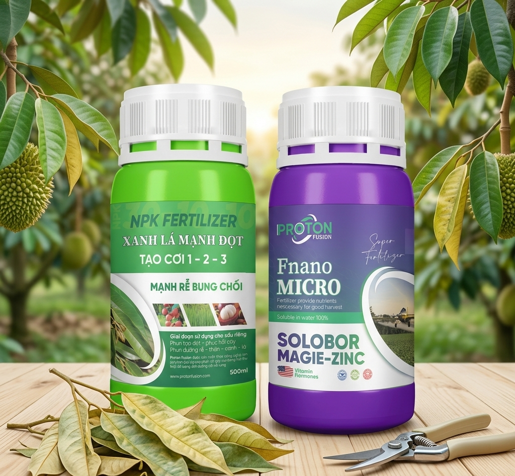 Giải pháp phục hồi sầu riêng bị vàng lá hiệu quả nhất